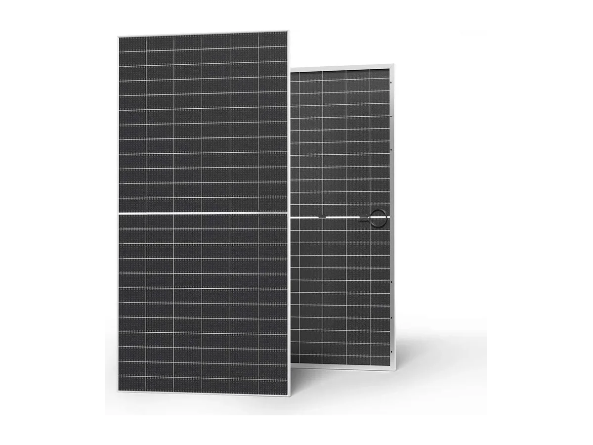 590W N-Type Bifacial Solar Panel（2-Pack）