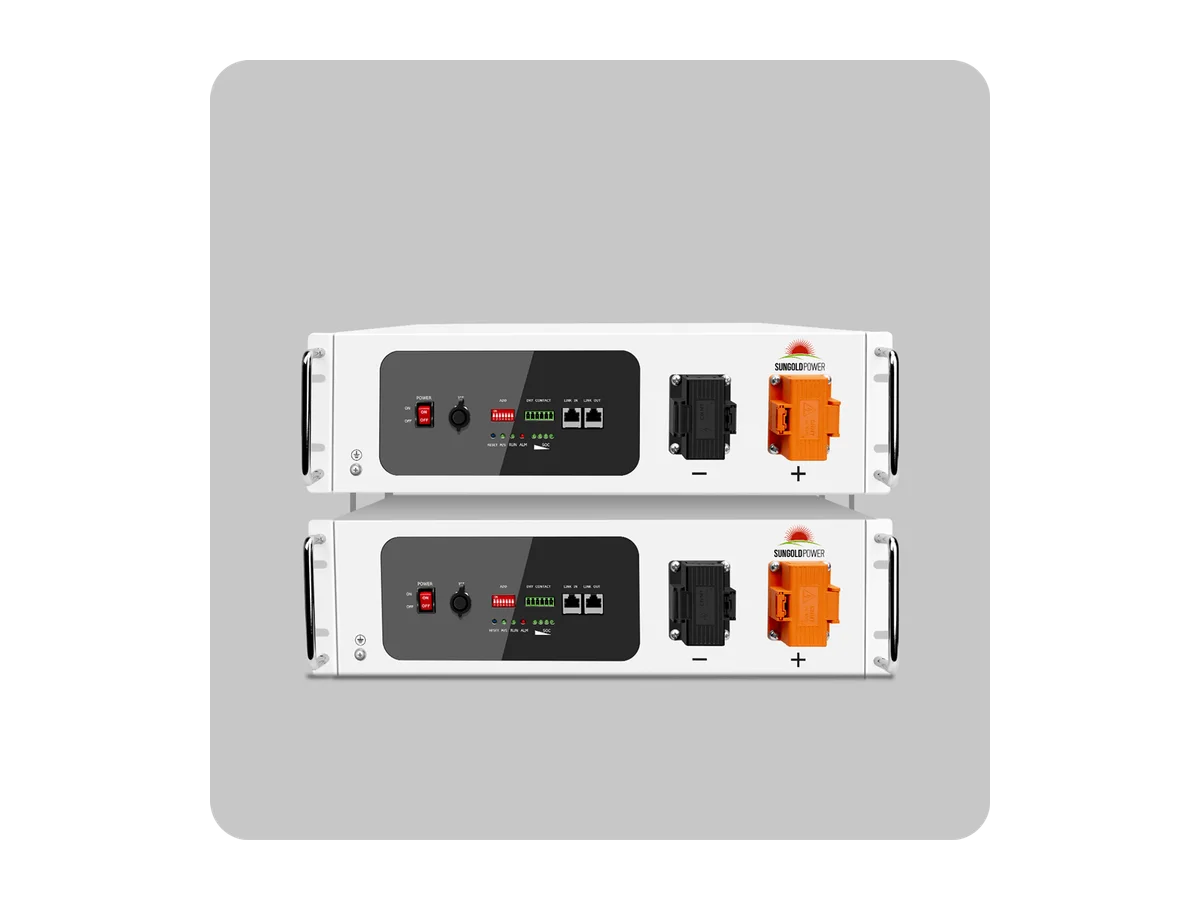 2X SGH48100T Server Rack 48V 100AH Lithium Battery Self-Heating