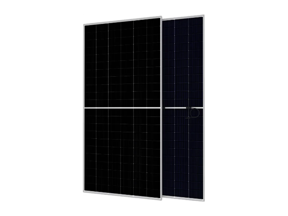 Talesun BIPRO 620W Bifacial Dual Glass 132 Half-Cell N-Type Solar Panel